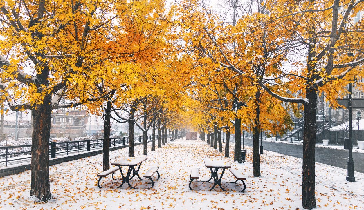 The Emotional Weight of November